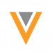 Veeva-Systems