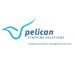 Pelican-Staffing-Solutions.jpeg